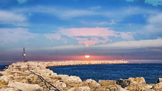 星空公司：打造专业级训练场地！选购可拆卸可移动篮球架，成就你的篮球梦想！