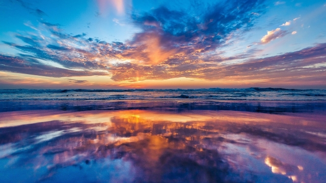 星空公司：动感十足！硅PU丙烯酸球场材料为你带来极致体验